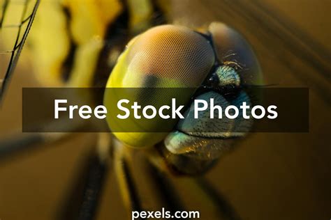 Image result for High Resolution Background