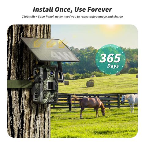 Snapklik.com : SEHMUA 4G LTE Cellular Trail Cameras 2 Pack, 3rd Gen ...
