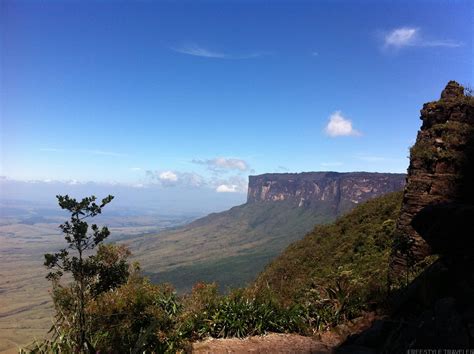 Image result for Alien Planet In
