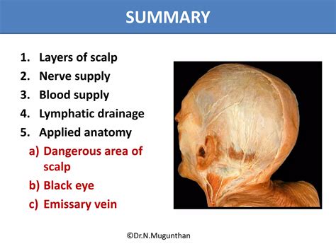 Scalp | PDF