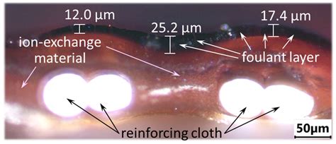 Electrodialysis Tartrate Stabilization of Wine Materials: Fouling and a ...