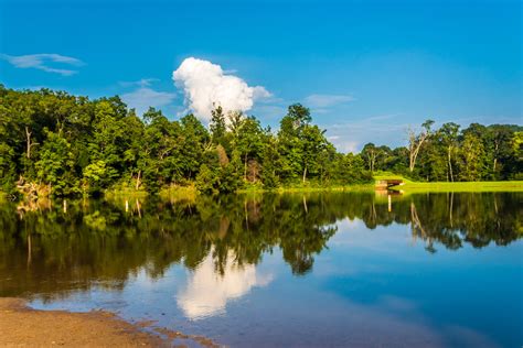 Best Ohio Public Hunting Lands For Snagging A Big Buck
