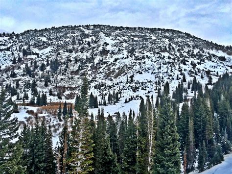 Grungy Slopes | GOLDMINER'S DAUGHTER LODGE - Alta, Utah — Grungy Gentleman