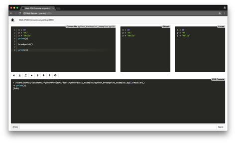 Python Debug 的图像结果