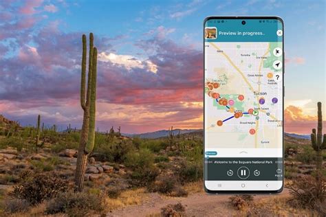 Self-Guided Saguaro National Park Driving Tour 2024 - Tucson - Viator