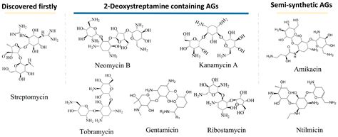 Recent Advances in Optical Detection of Aminoglycosides