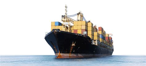 Export 的图像结果