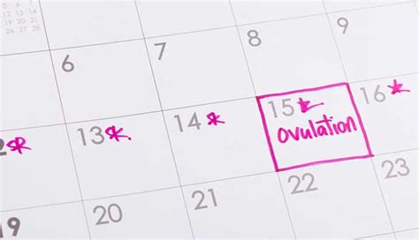 8 Major Pros and Cons of Natural Birth Control - lifeberrys.com