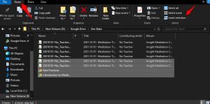 Image result for Windows 1.0 File Explorer Tips
