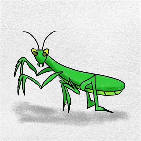 Praying Mantis Drawing - Roney Youstaired