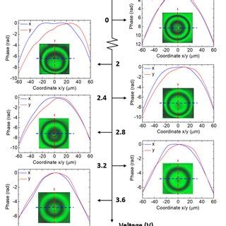 MicroLens Array 的图像结果