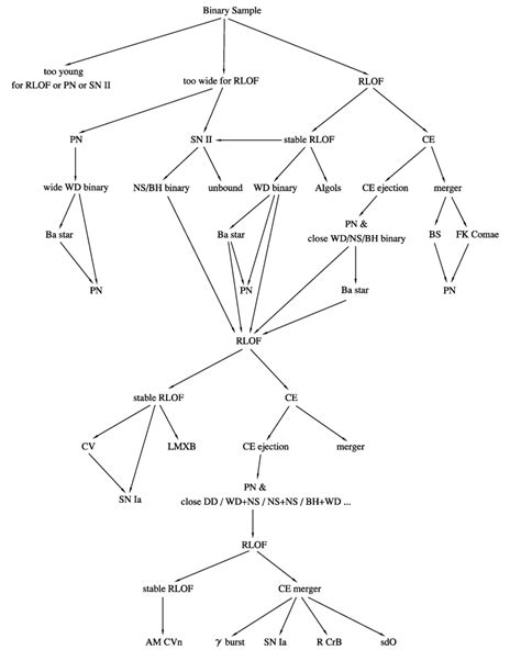 Flow Chart of Binary Evolution 的图像结果