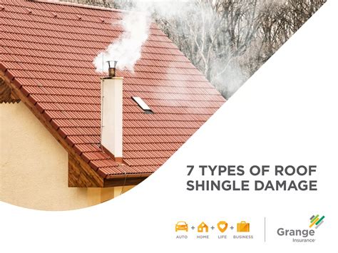 Slideshow: 7 Types of Roof Shingle Damage | PDF