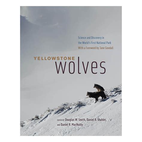 Image result for Yellowstone Wolves Book