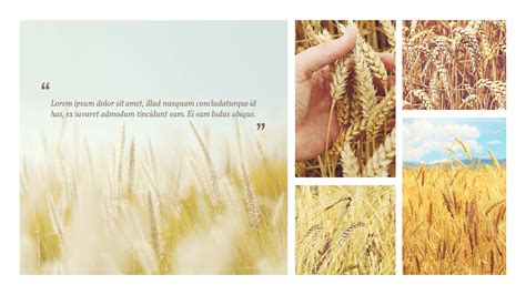 Agriculture Ppt Background 的图像结果