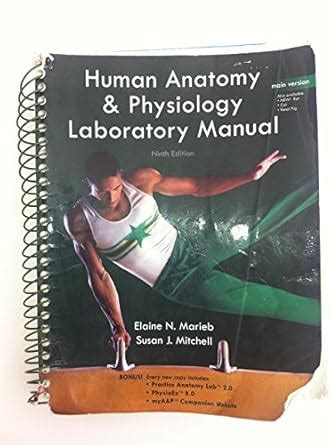 Buy Human Anatomy & Physiology Lab Manual, Main Version Book Online at ...