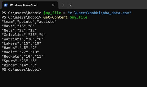 CSV File and PowerShell 的图像结果
