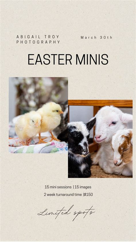 Easter Sessions at ATP with Live Animals, Abigail Troy Photography ...