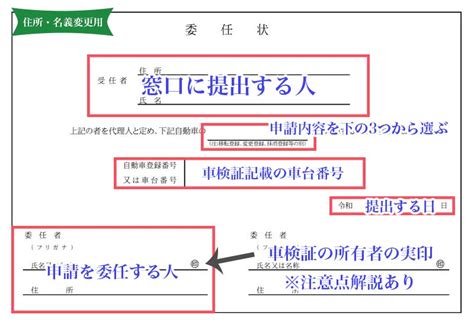 Image result for Demo Image Task for HTML Basic Student