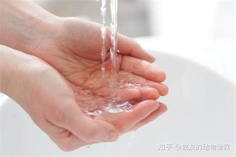 你真的知道什么叫洗手吗？洗手到底有多重要？正确的洗手方式是？ - 知乎