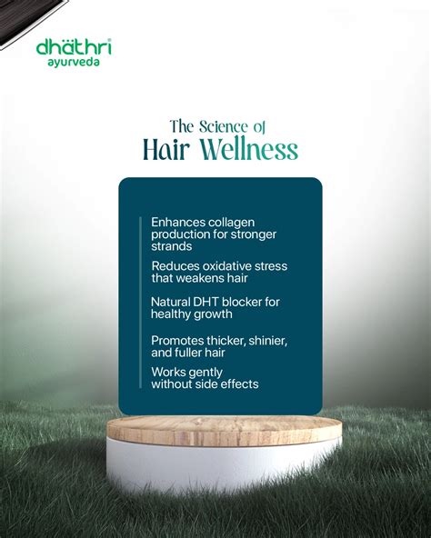 Hair Care Capsules – Dhathri Ayurveda