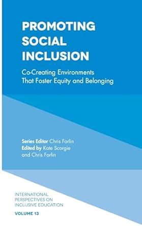 Buy Promoting Social Inclusion: Co-Creating Environments That Foster ...