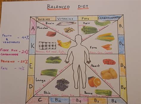 Balanced Diet Project 的图像结果
