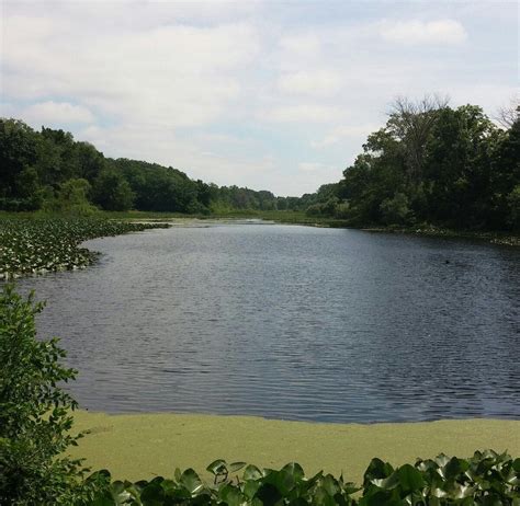 SCOTT'S MILL COUNTY PARK - All You Need to Know BEFORE You Go (with ...