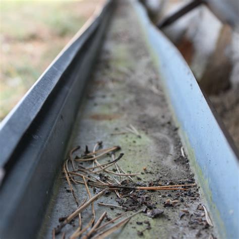 Eavestrough Installation: Why Professionals Matter (2025)