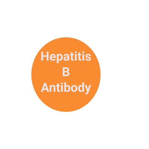 (Hep B Titer) HBV Surface, antibody Quantitative Test. – LabReqs.com