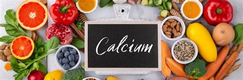 Top 10 Protein Rich Indian Foods for a Healthier You