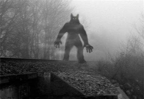 The Dogman Conspiracy: Dogman Encounters Radio: Episode 88