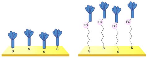 Design and Preparation of Sensing Surfaces for Capacitive Biodetection