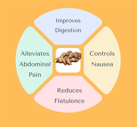 Ginger Oil for Stomach Pain/Ache, Indigestion and Nausea – Parama Naturals