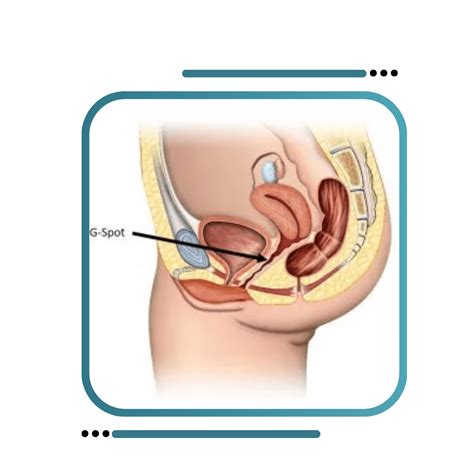 G Spot And O Spot Amplification Treatment