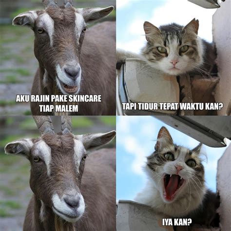 Tempat Buat Bikin Memes