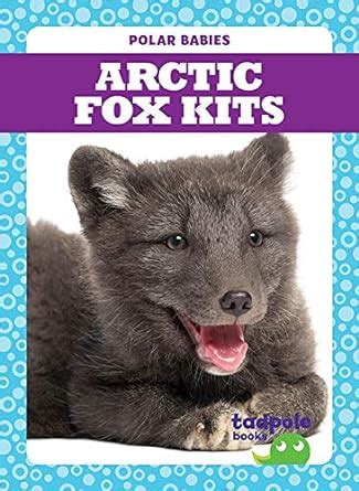 Buy Arctic Fox Kits (Polar Babies) Book Online at Low Prices in India ...
