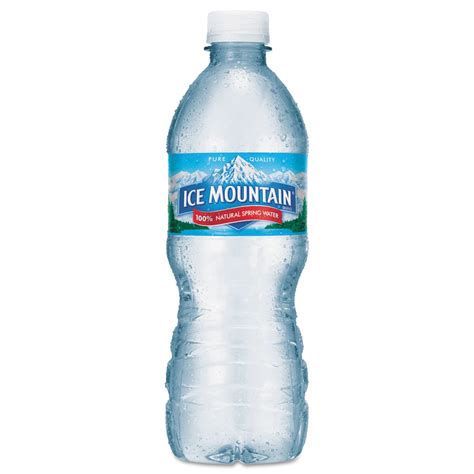 Bottled Water Logos With Mountains 24 Pack) RAIN Pure Mountain Spring