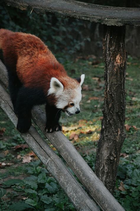 Education 4K Images 的图像结果