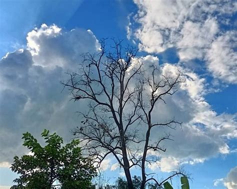 THE BEST Places to Visit in Araria District (2024)