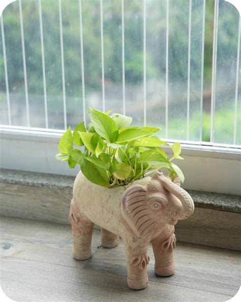 Swadeh Eco Friendly Planter - Handcrafted and Locally Made - Elephant ...