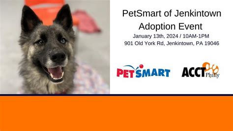 Jenkintown PetSmart Adoption Event , PetSmart (Jenkintown, PA), 13 ...