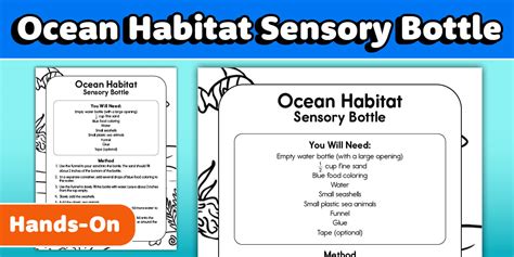 * NEW * Ocean Sensory Bottle Activity | World Ocean Day | Twinkl USA