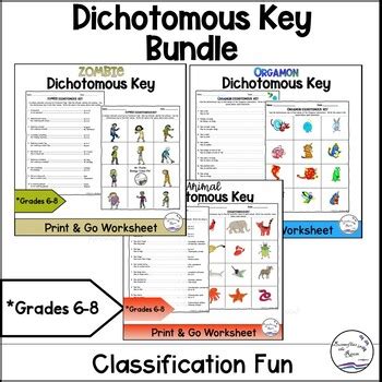 Classification Key for Kids 的图像结果