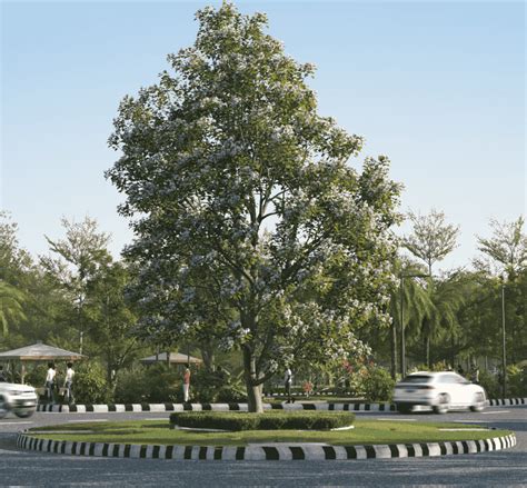 NEOCITY - Sadashivpet's Gateway to a Smarter Tomorrow