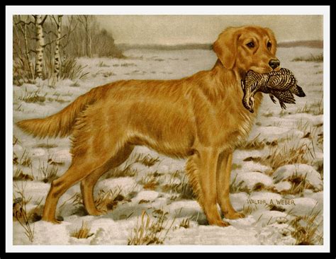 Golden Retriever Hunting Painting