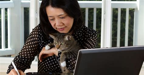 Remote (Work From Home) PT, OT, and SLP Jobs - The Non-Clinical PT