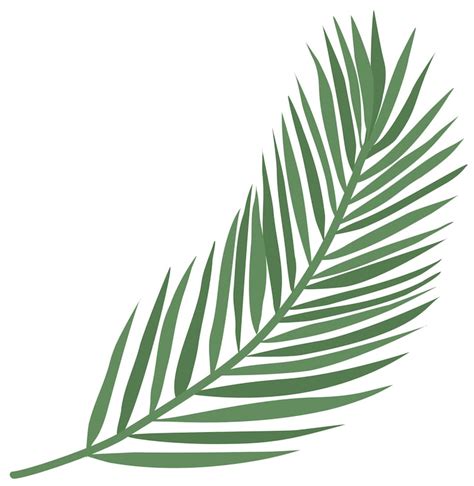 Date leaf Vectors - Download Free High-Quality Vectors from Freepik ...
