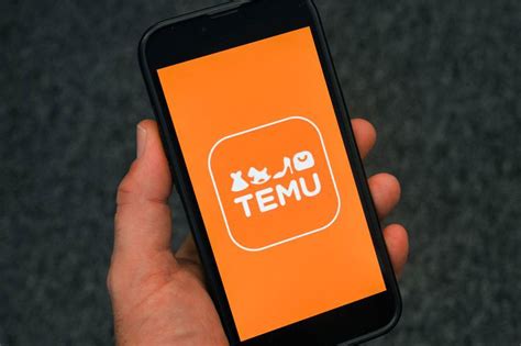 'I ordered £3 Temu Christmas decoration and couldn't believe what ...