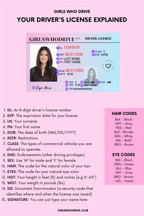 Image result for Drivers License Understanding
